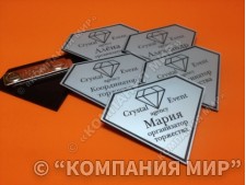 Бейджи, бейджики